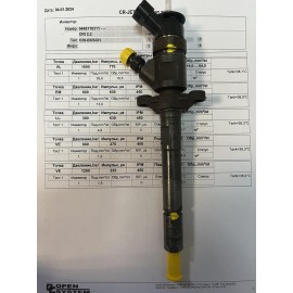 Форсунка б/у Bosch 0445110311 Citroen