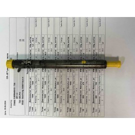 Форсунка Delphi R04501D в сборе Ssangyong
